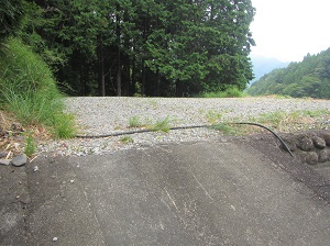 no17土地