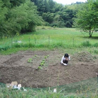 移住者の声