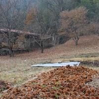 移住者の声