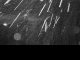 2025年03月05日03時09分
