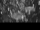 2025年03月16日04時49分