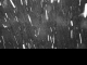 2025年03月19日03時19分