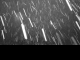 2025年04月01日04時59分