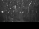 2025年04月28日19時28分