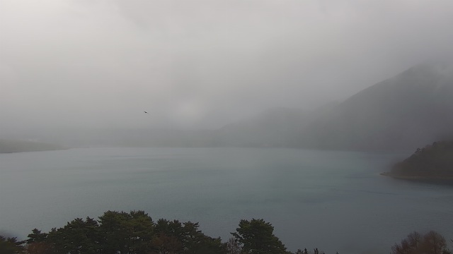 2025年12月20日12時54分