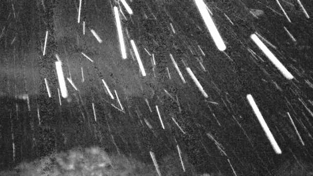 2026年02月07日19時54分