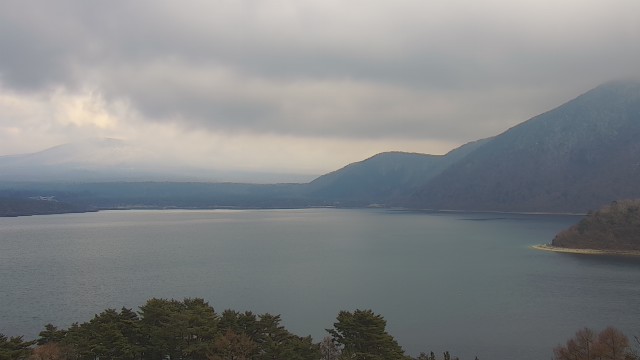 2026年02月12日14時04分