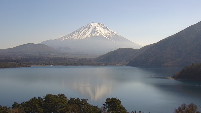 2026年02月21日12時13分