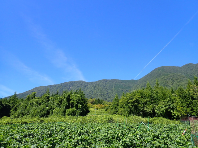 矢細工風景