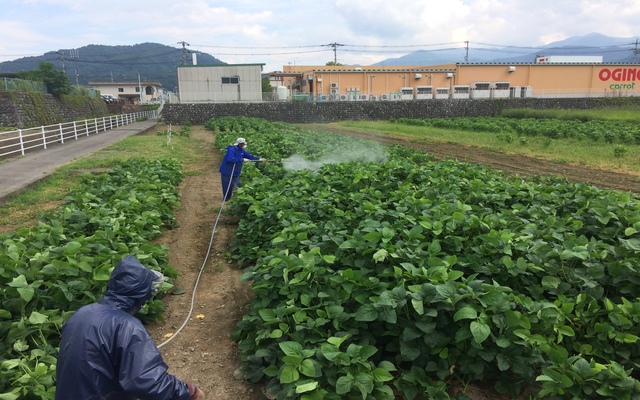 消毒の様子