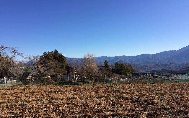 天日干し