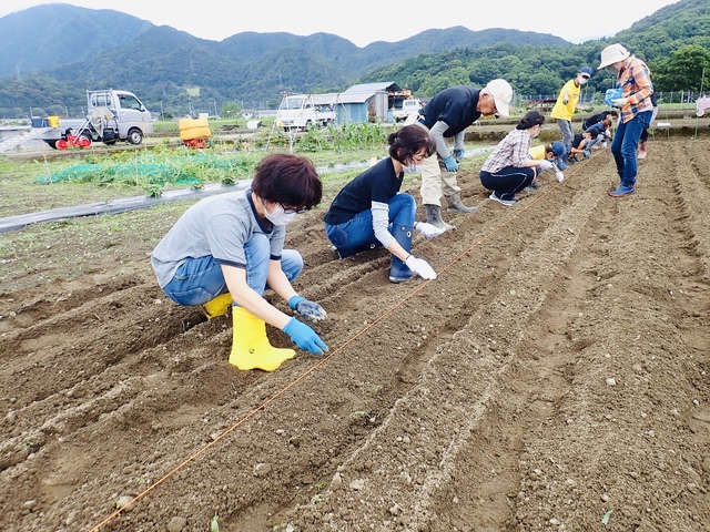 みんなで播種