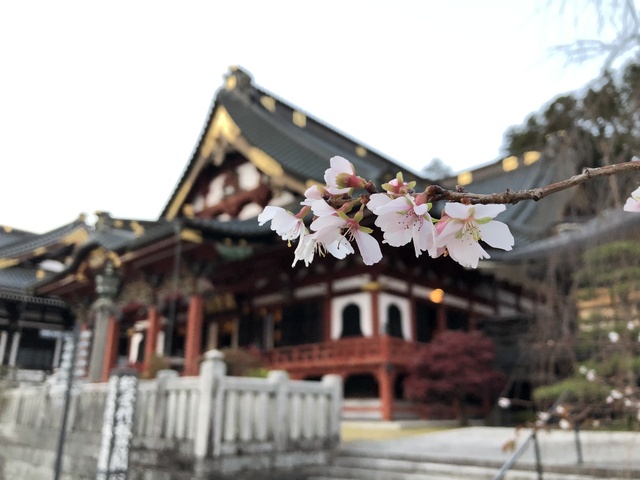 身延山久遠寺