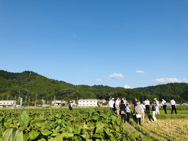 視察の風景