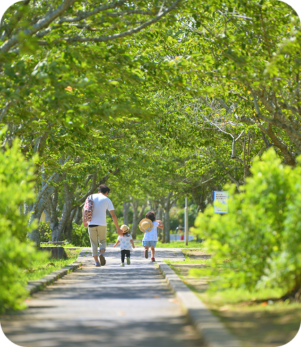 育てるイメージ写真1