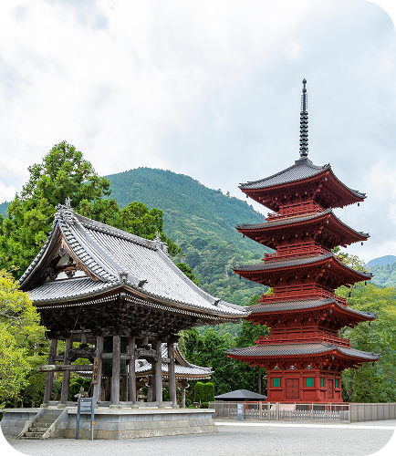 訪れるイメージ写真1