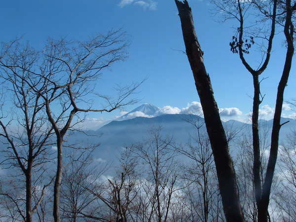 富士見山