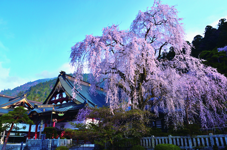 ライブ カメラ 身延 久遠 山 寺 身延山久遠寺／富士の国やまなし観光ネット 山梨県公式観光情報