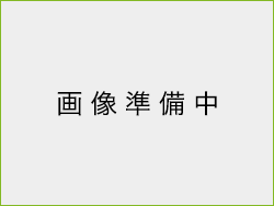 モクゲンジ群落　【県指定天然記念物】