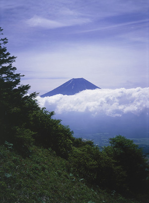 毛無山山頂から雲の富士山