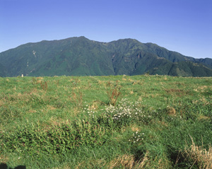 富士ヶ嶺の牧草地から見る毛無山東面の全容