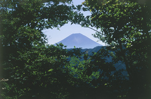 三石峠から山頂への尾根道から樹間の富士を見る