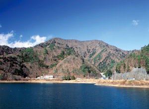 精進湖から見た三方分山