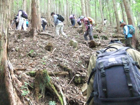 険しい登山道です