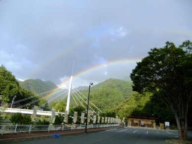 ほら、綺麗でしょ？