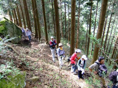 登山登山