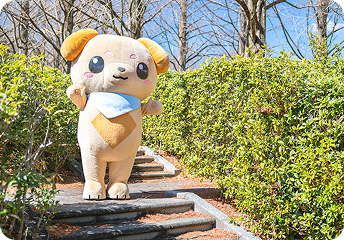 みのらぶリンク背景画像 上部2