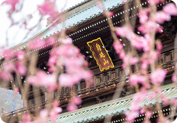 みのらぶリンク背景画像 下部2