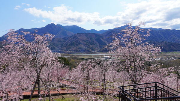 2025年4月4日(金曜日)の様子の画像1