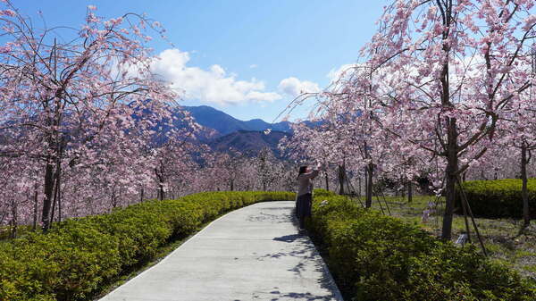 2025年4月4日(金曜日)の様子の画像5