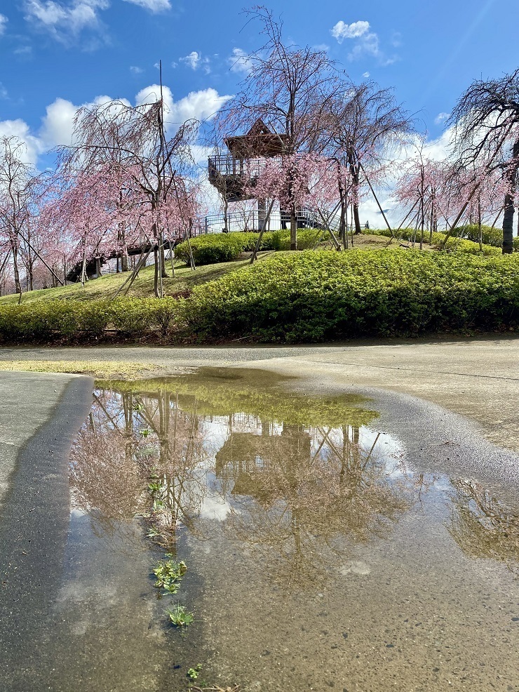 2025年3月28日(金曜日)の様子の画像1