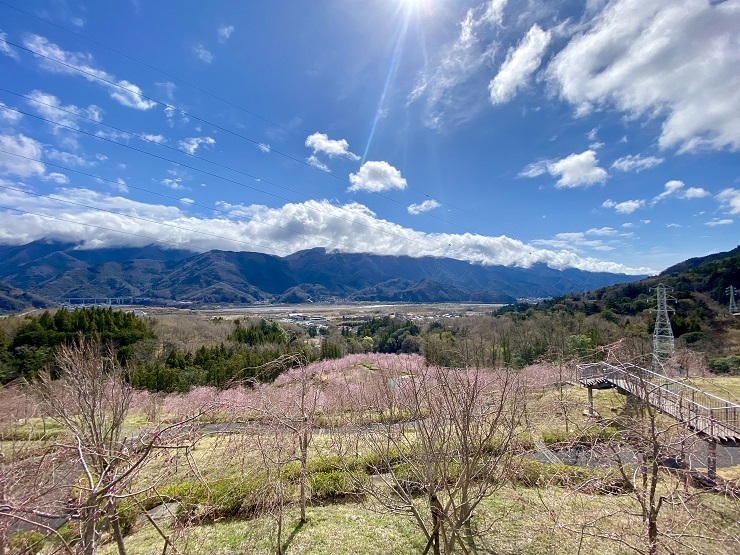 2025年3月28日(金曜日)の様子の画像2