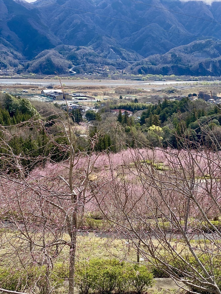2025年3月28日(金曜日)の様子の画像3