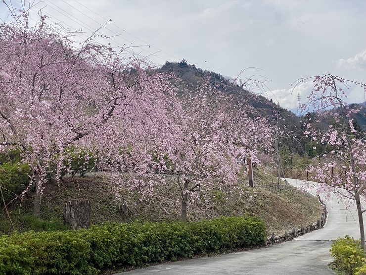 2025年3月28日(金曜日)の様子の画像5