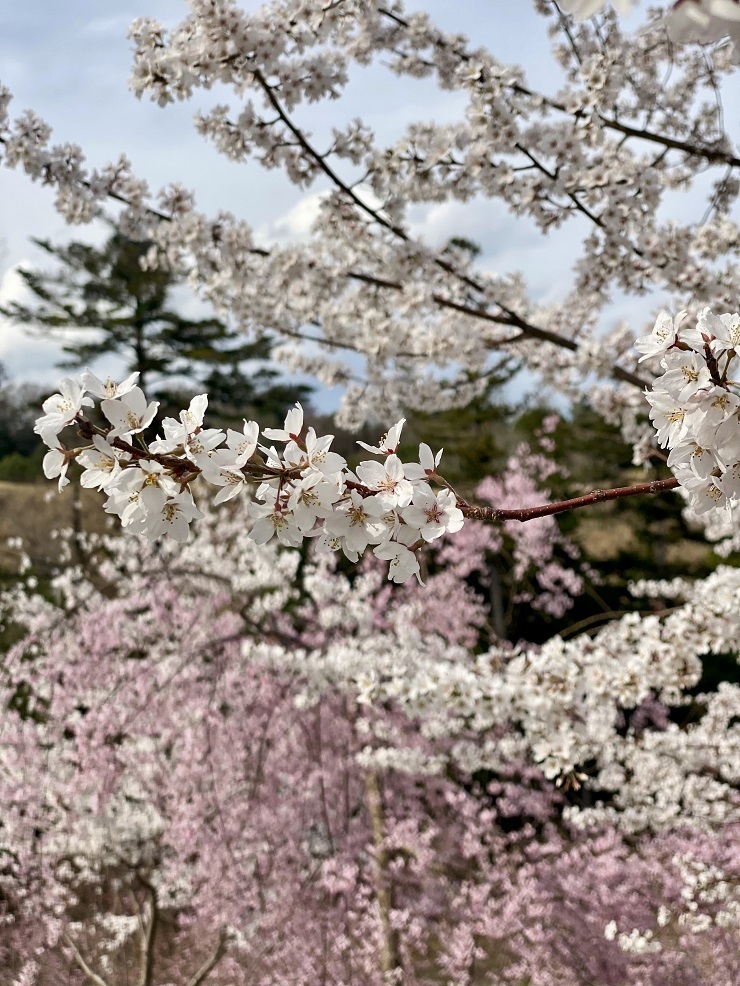 2025年3月28日(金曜日)の様子の画像7