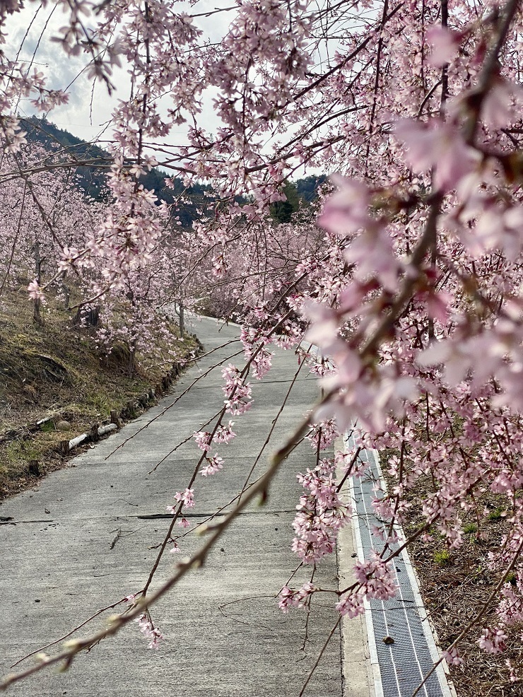 2025年3月28日(金曜日)の様子の画像8