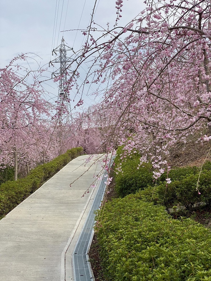 2025年3月28日(金曜日)の様子の画像10