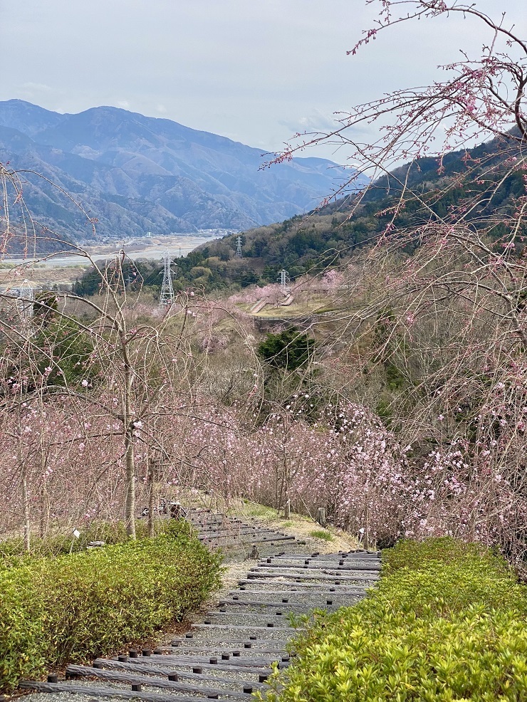 2025年3月28日(金曜日)の様子の画像12