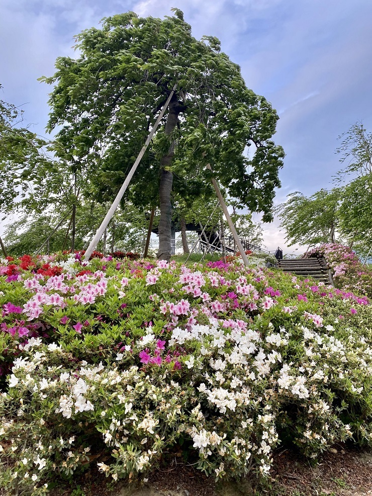 2024年4月29日(月曜日)の様子の画像1