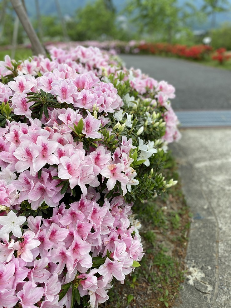 2024年4月29日(月曜日)の様子の画像2