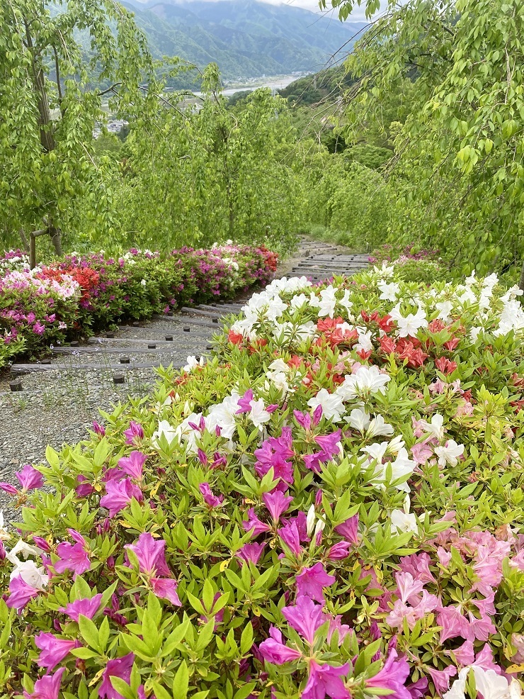 2024年4月29日(月曜日)の様子の画像4