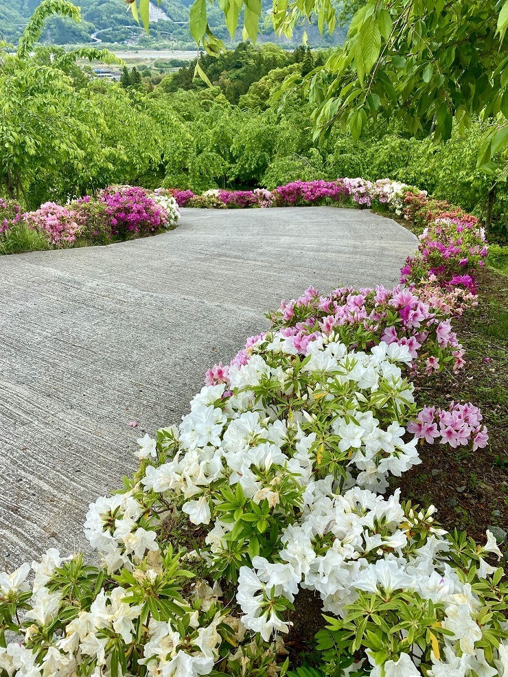 2024年4月29日(月曜日)の様子の画像5