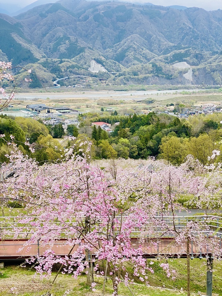 2024年4月8日(月曜日)の様子の画像2