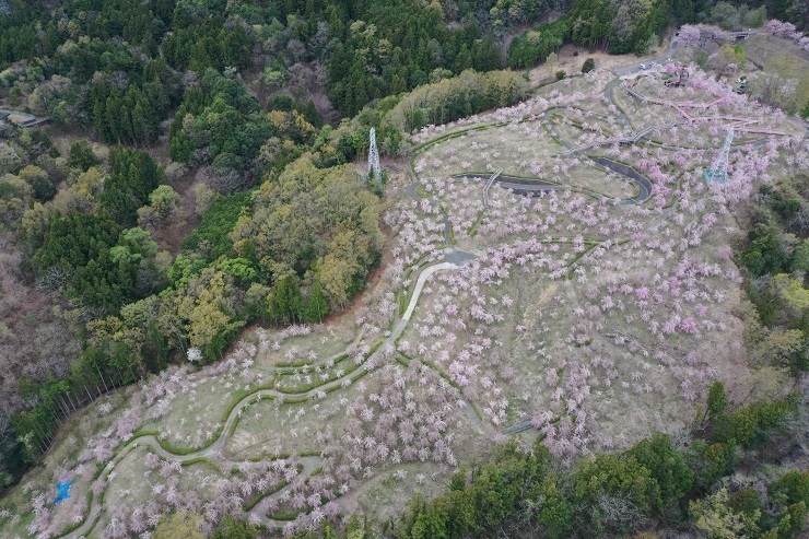 2024年4月8日(月曜日)の様子の画像4
