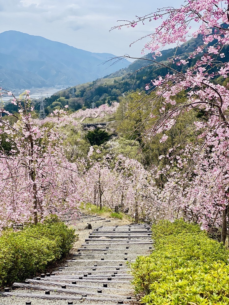 2024年4月8日(月曜日)の様子の画像7