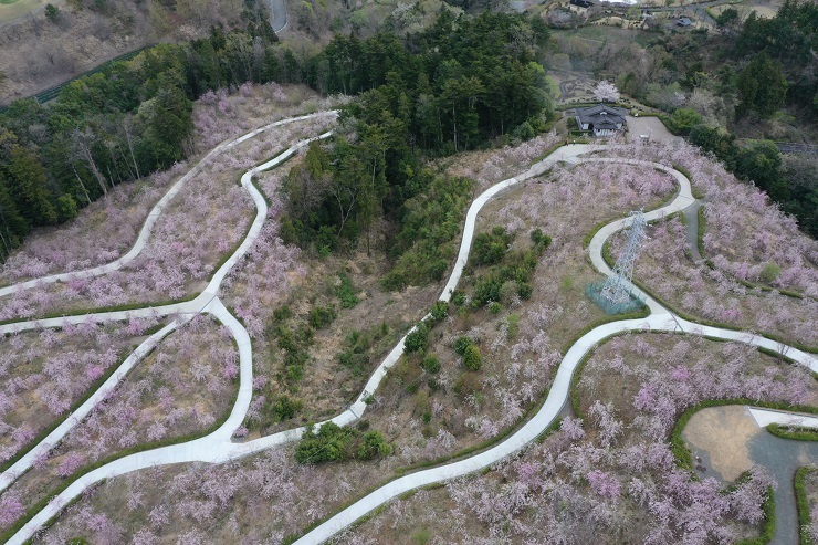 2024年4月8日(月曜日)の様子の画像8